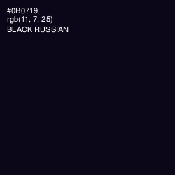 #0B0719 - Black Russian Color Image